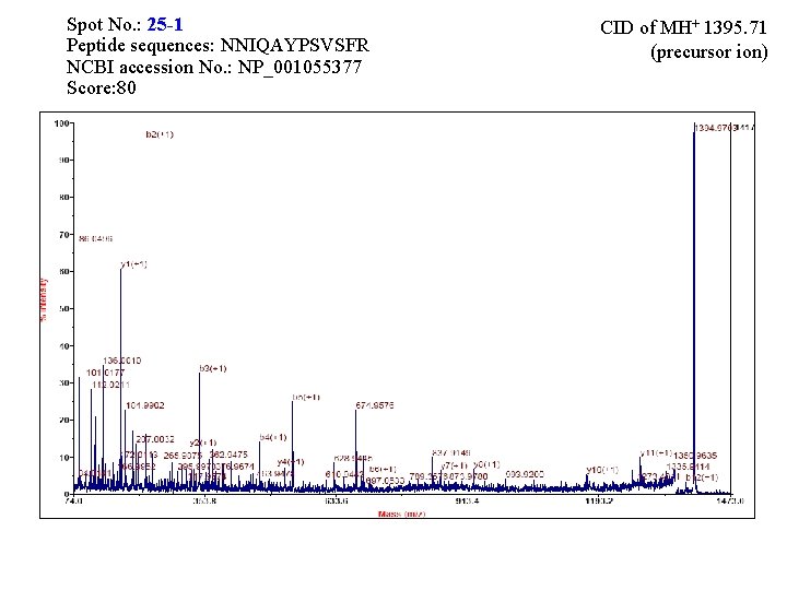 Spot No. : 25 -1 Peptide sequences: NNIQAYPSVSFR NCBI accession No. : NP_001055377 Score: