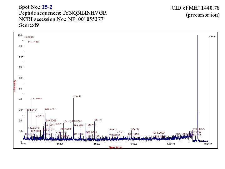 Spot No. : 25 -2 Peptide sequences: IYNQNLINHVGR NCBI accession No. : NP_001055377 Score: