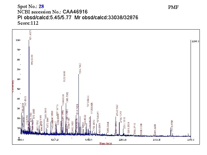 Spot No. : 28 NCBI accession No. : CAA 46916 PI obsd/calcd: 5. 45/5.