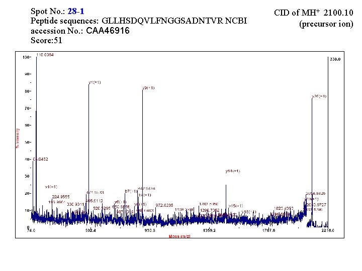 Spot No. : 28 -1 Peptide sequences: GLLHSDQVLFNGGSADNTVR NCBI accession No. : CAA 46916 Spot No. : 28 -1 Peptide sequences: GLLHSDQVLFNGGSADNTVR NCBI accession No. : CAA 46916