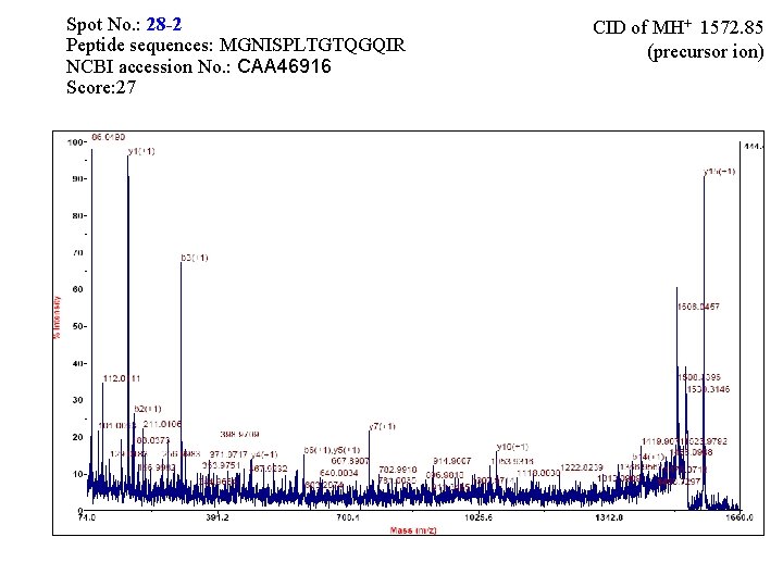Spot No. : 28 -2 Peptide sequences: MGNISPLTGTQGQIR NCBI accession No. : CAA 46916 Spot No. : 28 -2 Peptide sequences: MGNISPLTGTQGQIR NCBI accession No. : CAA 46916