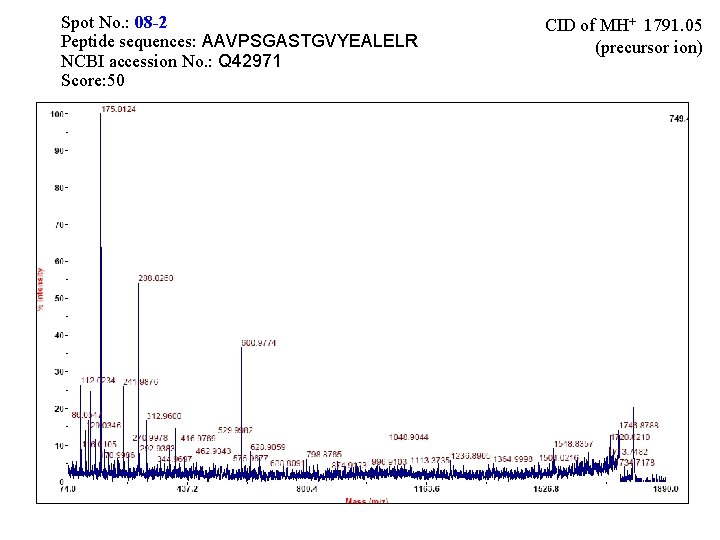 Spot No. : 08 -2 Peptide sequences: AAVPSGASTGVYEALELR NCBI accession No. : Q 42971