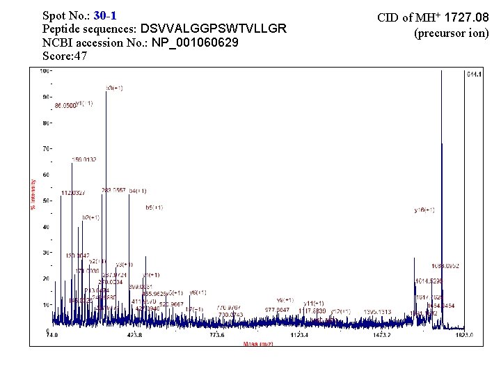 Spot No. : 30 -1 Peptide sequences: DSVVALGGPSWTVLLGR NCBI accession No. : NP_001060629 Score: