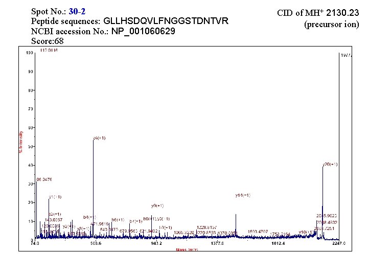 Spot No. : 30 -2 Peptide sequences: GLLHSDQVLFNGGSTDNTVR NCBI accession No. : NP_001060629 Score: