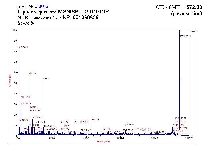 Spot No. : 30 -3 Peptide sequences: MGNISPLTGTQGQIR NCBI accession No. : NP_001060629 Score: