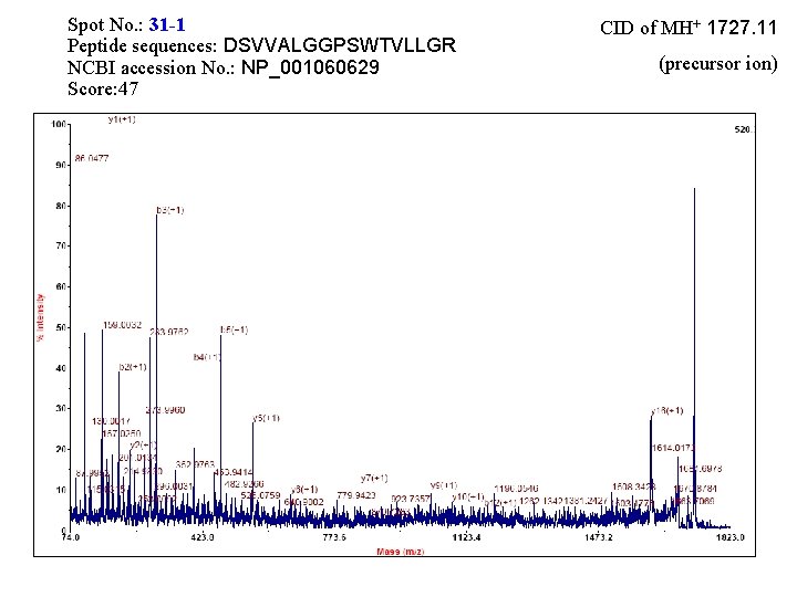 Spot No. : 31 -1 Peptide sequences: DSVVALGGPSWTVLLGR NCBI accession No. : NP_001060629 Score: