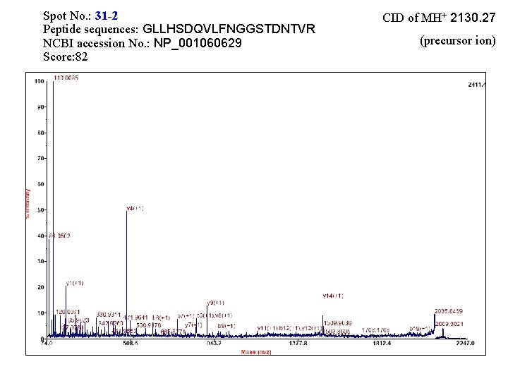 Spot No. : 31 -2 Peptide sequences: GLLHSDQVLFNGGSTDNTVR NCBI accession No. : NP_001060629 Score: