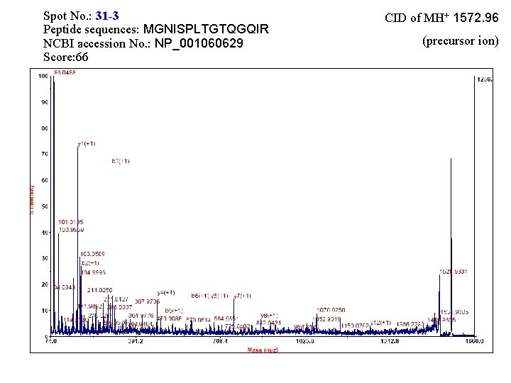 Spot No. : 31 -3 Peptide sequences: MGNISPLTGTQGQIR NCBI accession No. : NP_001060629 Score:
