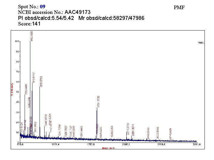 Spot No. : 09 NCBI accession No. : AAC 49173 PI obsd/calcd: 5. 54/5.