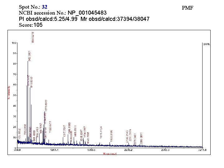 Spot No. : 32 NCBI accession No. : NP_001045483 PI obsd/calcd: 5. 25/4. 99