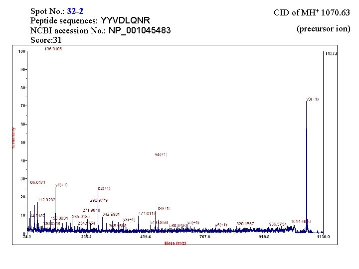 Spot No. : 32 -2 Peptide sequences: YYVDLQNR NCBI accession No. : NP_001045483 Score: