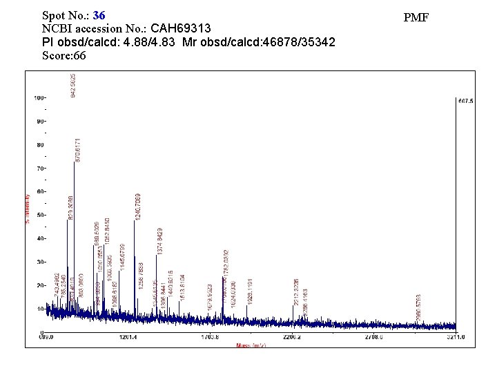 Spot No. : 36 NCBI accession No. : CAH 69313 PI obsd/calcd: 4. 88/4.