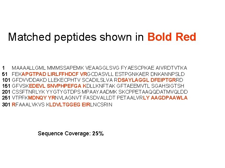 Matched peptides shown in Bold Red 1 MAAAALLGML MMMSSAPEMK VEAAGGLSVG FYAESCPKAE AIVRDTVTKA 51 FEKAPGTPAD