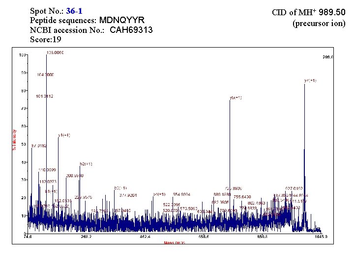 Spot No. : 36 -1 Peptide sequences: MDNQYYR NCBI accession No. : CAH 69313