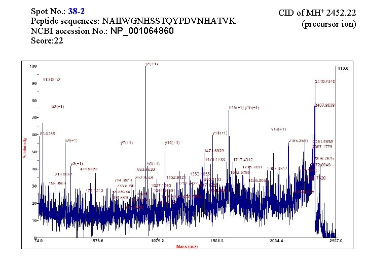Spot No. : 38 -2 Peptide sequences: NAIIWGNHSSTQYPDVNHATVK NCBI accession No. : NP_001064860 Score:
