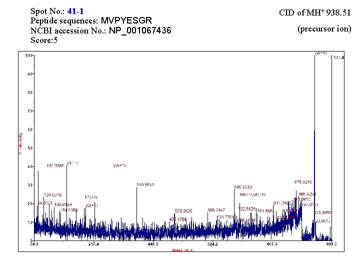 Spot No. : 41 -1 Peptide sequences: MVPYESGR NCBI accession No. : NP_001067436 Score: