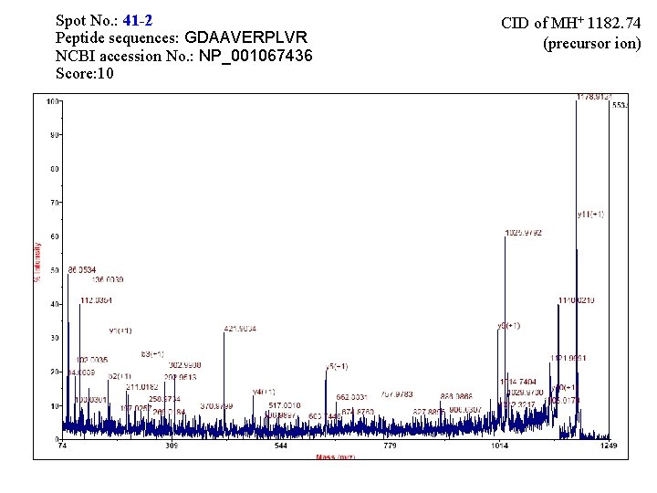 Spot No. : 41 -2 Peptide sequences: GDAAVERPLVR NCBI accession No. : NP_001067436 Score: