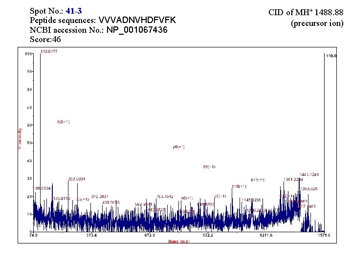Spot No. : 41 -3 Peptide sequences: VVVADNVHDFVFK NCBI accession No. : NP_001067436 Score: