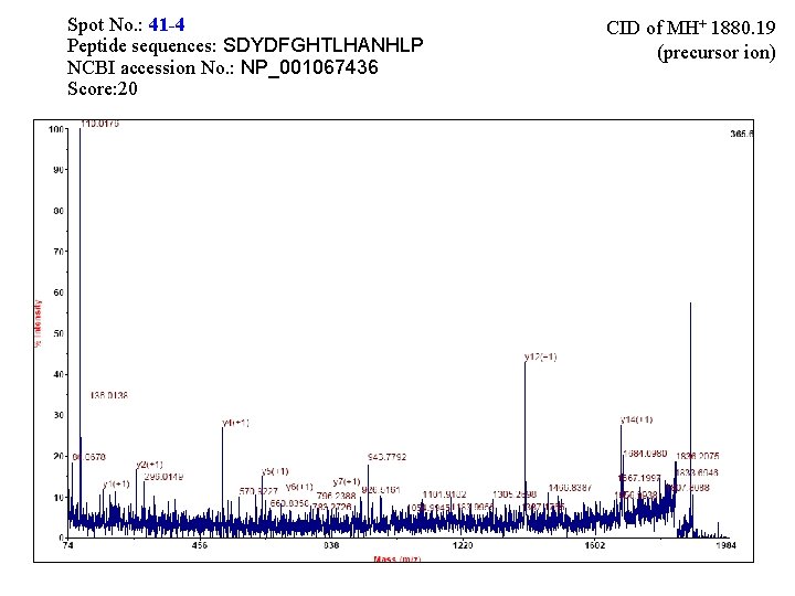 Spot No. : 41 -4 Peptide sequences: SDYDFGHTLHANHLP NCBI accession No. : NP_001067436 Score: