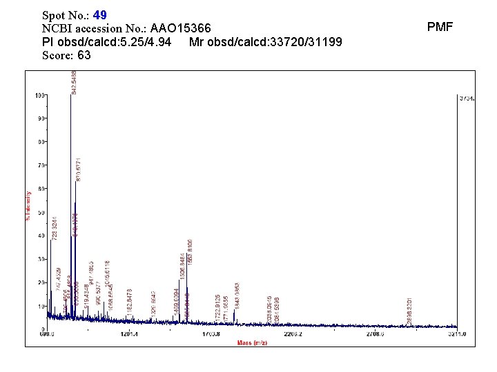 Spot No. : 49 NCBI accession No. : AAO 15366 PI obsd/calcd: 5. 25/4.