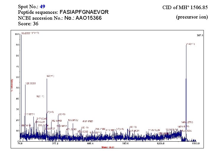 Spot No. : 49 Peptide sequences: FASIAPFGNAEVQR NCBI accession No. : AAO 15366 Score: Spot No. : 49 Peptide sequences: FASIAPFGNAEVQR NCBI accession No. : AAO 15366 Score: