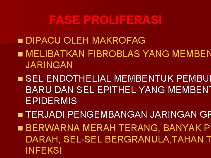 FASE PROLIFERASI n DIPACU OLEH MAKROFAG n MELIBATKAN FIBROBLAS YANG MEMBEN JARINGAN n SEL