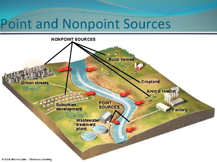 Point and Nonpoint Sources NONPOINT SOURCES Rural homes Cropland Urban streets Animal feedlot Suburban