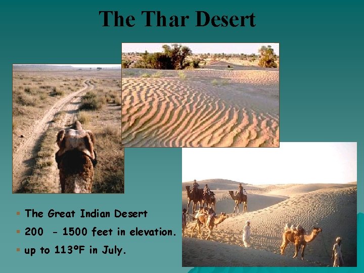 The Thar Desert § The Great Indian Desert § 200 - 1500 feet in