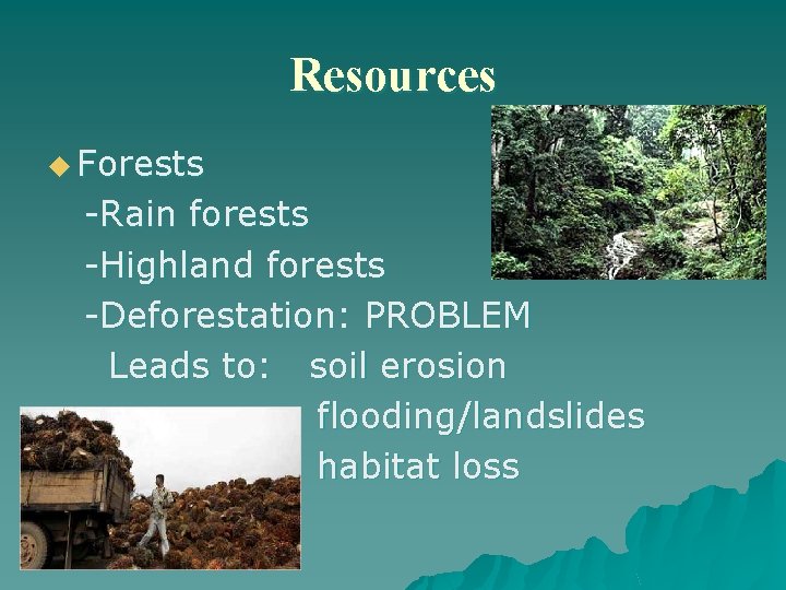 Resources u Forests -Rain forests -Highland forests -Deforestation: PROBLEM Leads to: soil erosion flooding/landslides