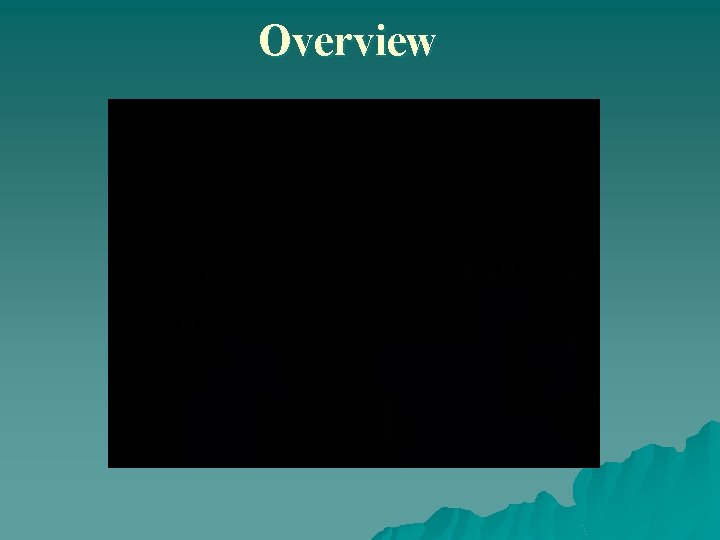 Overview 