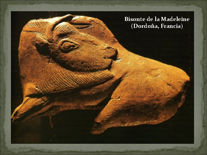 Bisonte de la Madeleine (Dordoña, Francia) 