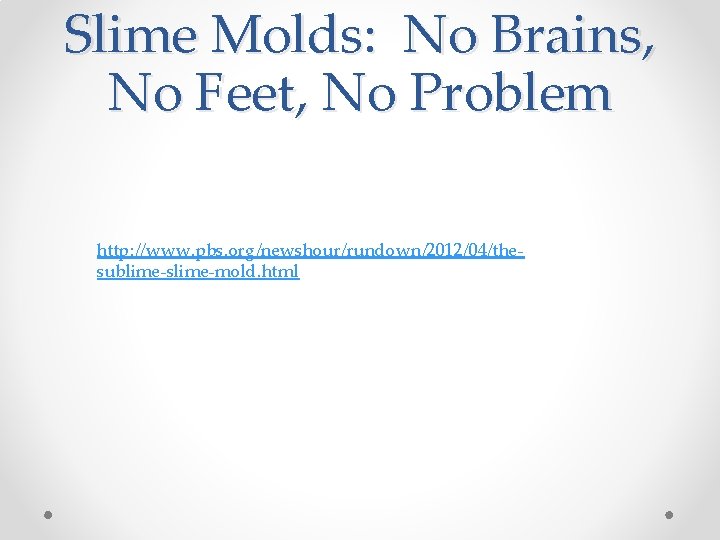 Slime Molds: No Brains, No Feet, No Problem http: //www. pbs. org/newshour/rundown/2012/04/thesublime-slime-mold. html Slime Molds: No Brains, No Feet, No Problem http: //www. pbs. org/newshour/rundown/2012/04/thesublime-slime-mold. html