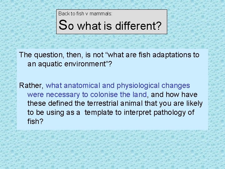 Back to fish v mammals: So what is different? The question, then, is not