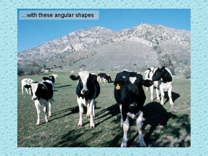 …with these angular shapes 