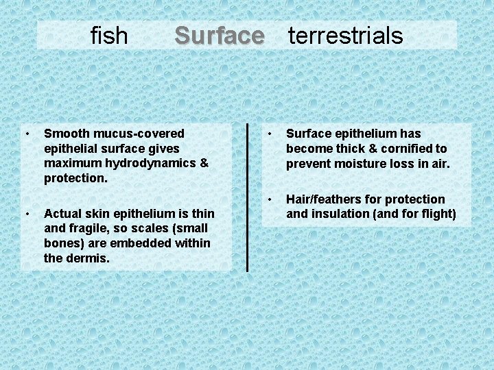 fish • • Surface terrestrials Smooth mucus-covered epithelial surface gives maximum hydrodynamics & protection.