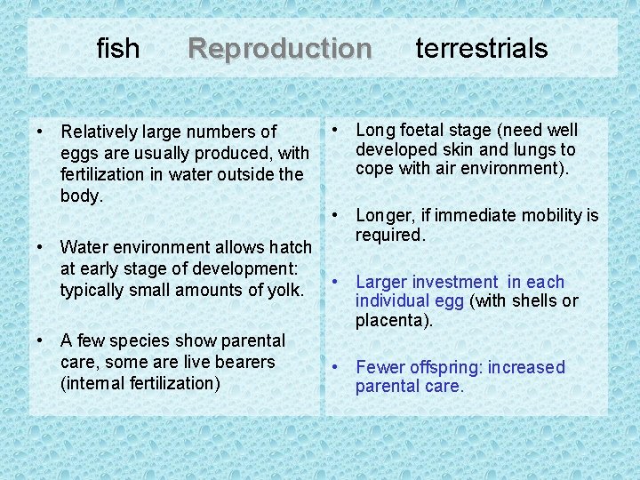 fish Reproduction • Relatively large numbers of eggs are usually produced, with fertilization in