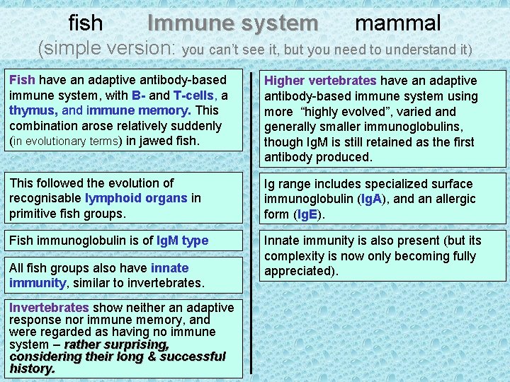 fish Immune system mammal (simple version: you can’t see it, but you need to