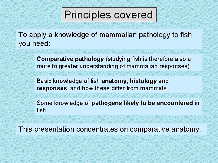 Principles covered To apply a knowledge of mammalian pathology to fish you need: Comparative