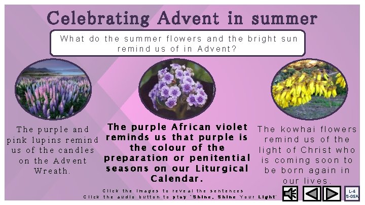 Celebrating Advent in summer What do the summer flowers and the bright sun remind