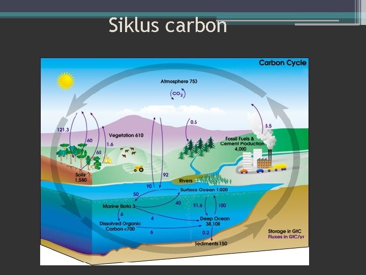 Siklus carbon 