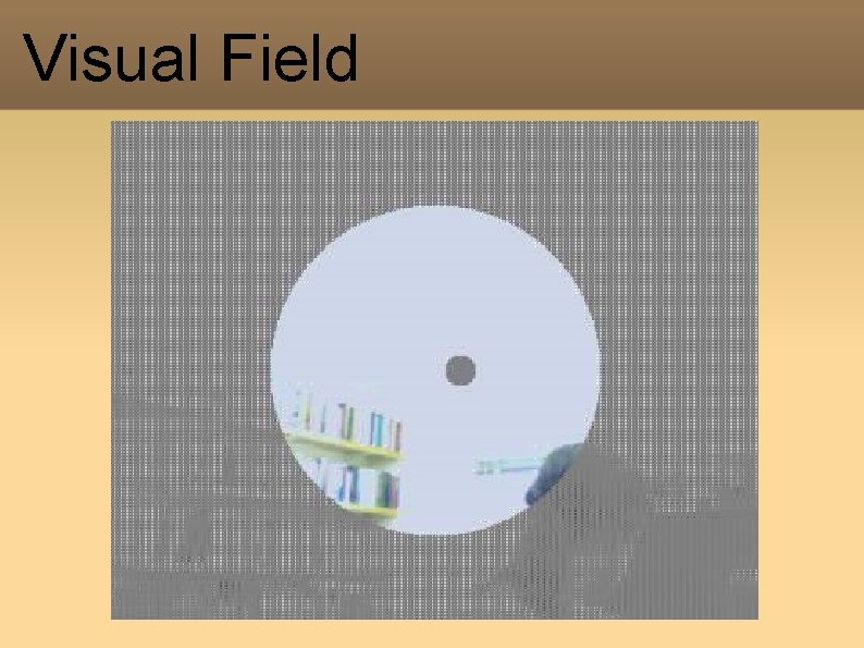 Visual Field Visual Field