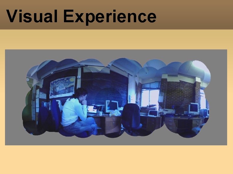 Visual Experience Visual Experience