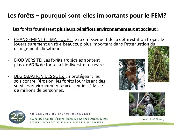 Les forêts – pourquoi sont-elles importants pour le FEM? Les forêts fournissent plusieurs bénéfices