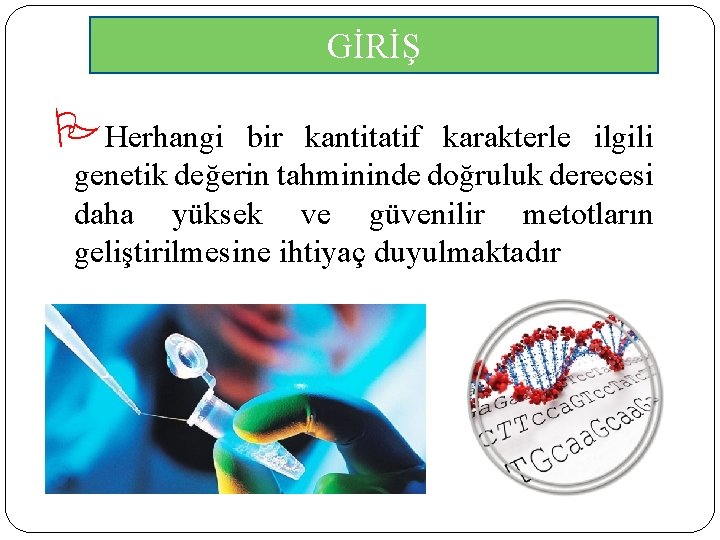 GİRİŞ Herhangi bir kantitatif karakterle ilgili genetik değerin tahmininde doğruluk derecesi daha yüksek ve