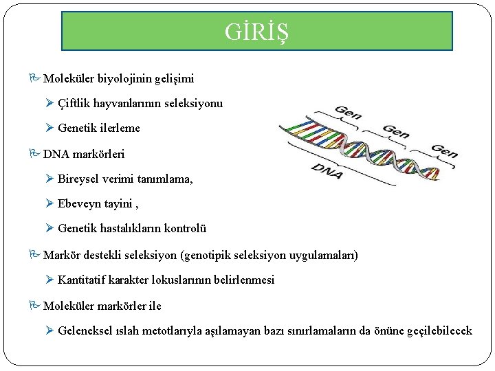 GİRİŞ Moleküler biyolojinin gelişimi Ø Çiftlik hayvanlarının seleksiyonu Ø Genetik ilerleme DNA markörleri Ø