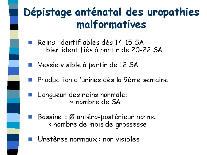 Dépistage anténatal des uropathies malformatives n Reins identifiables dès 14 -15 SA bien identifiés
