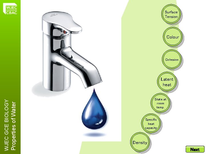 Surface Tension Colour Cohesion Properties of Water WJEC GCE BIOLOGY Latent heat State at