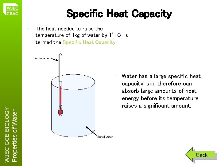 Specific Heat Capacity • The heat needed to raise the temperature of 1 kg