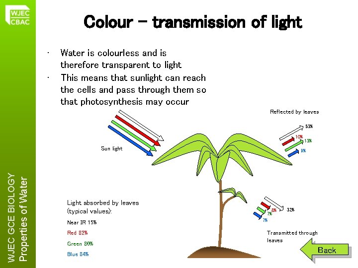 Colour – transmission of light • • Water is colourless and is therefore transparent