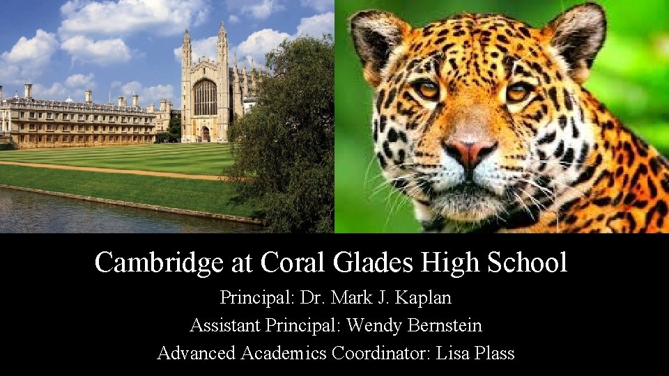 Cambridge at Coral Glades High School Principal: Dr. Mark J. Kaplan Assistant Principal: Wendy